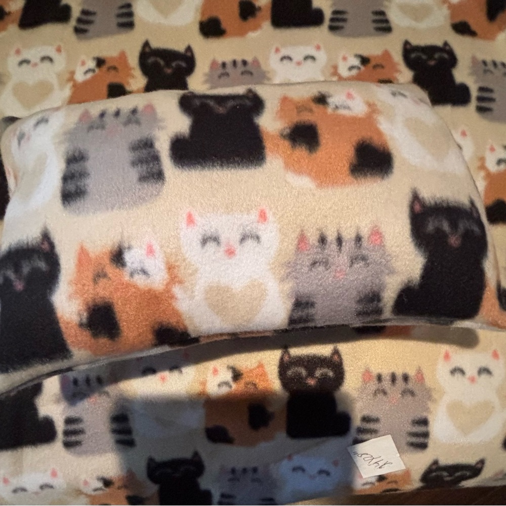 Cat Blanket n Pillow Set Double Fleece Reversible.